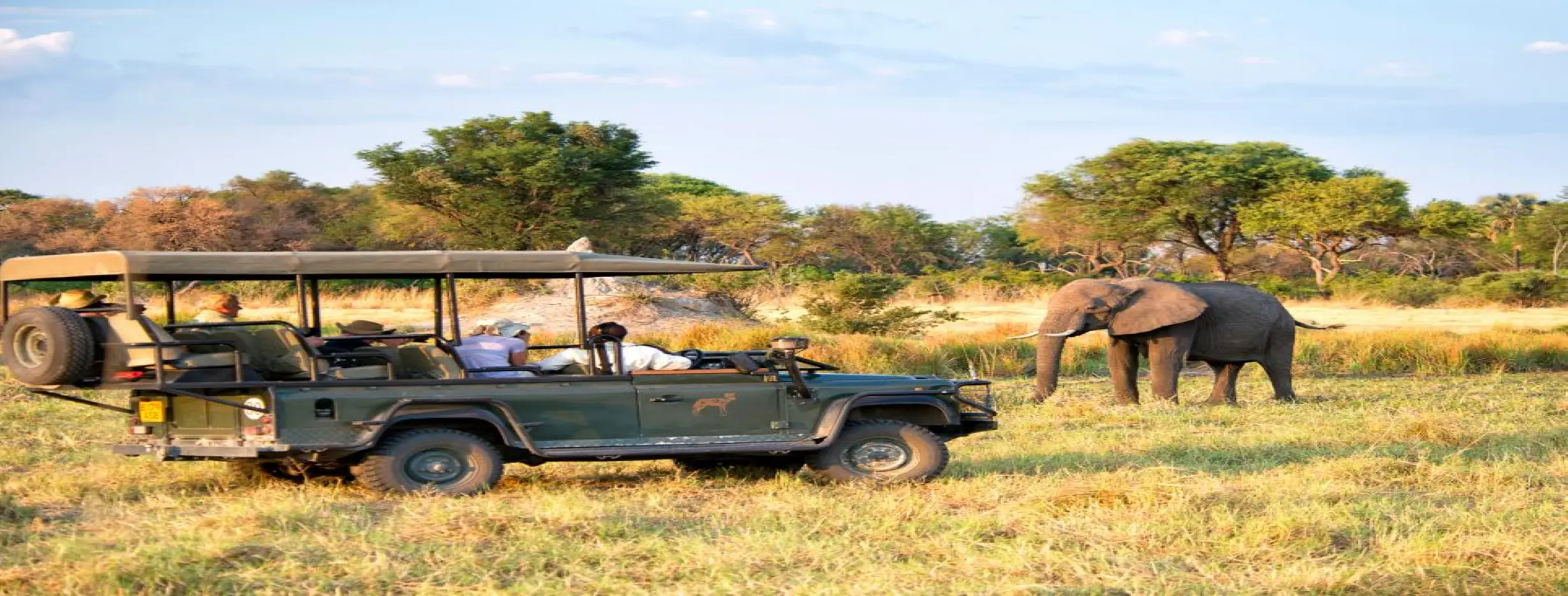 Image for Safari Trek